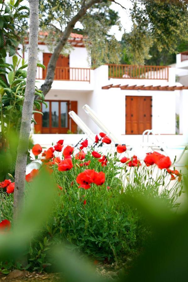 Skopelos Summer Homes Dış mekan fotoğraf